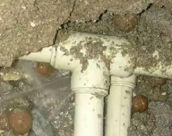 弥勒测漏水多少钱