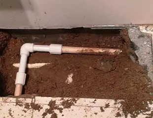 弥勒测漏水哪家好