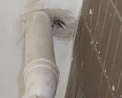 弥勒漏水检测哪家好